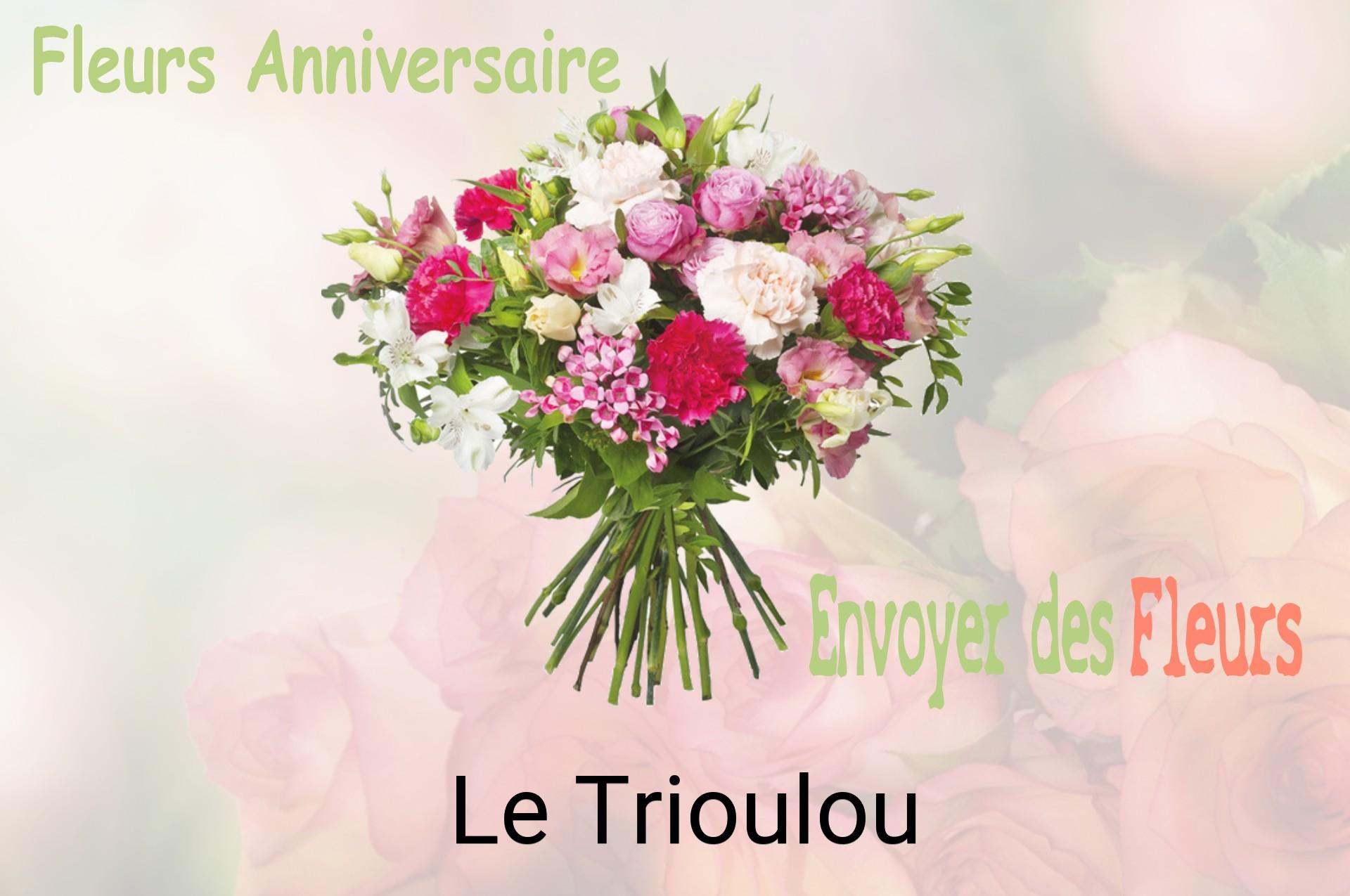 Bouquet de fleurs d’anniversaire livré à Le Trioulou