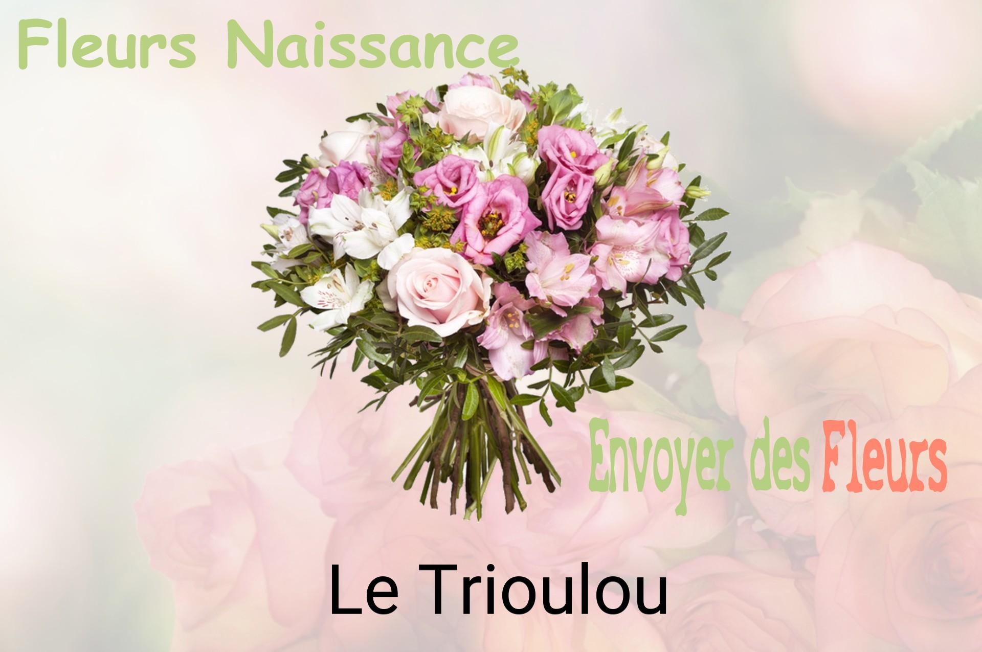 Bouquet de fleurs de naissance livré à Le Trioulou