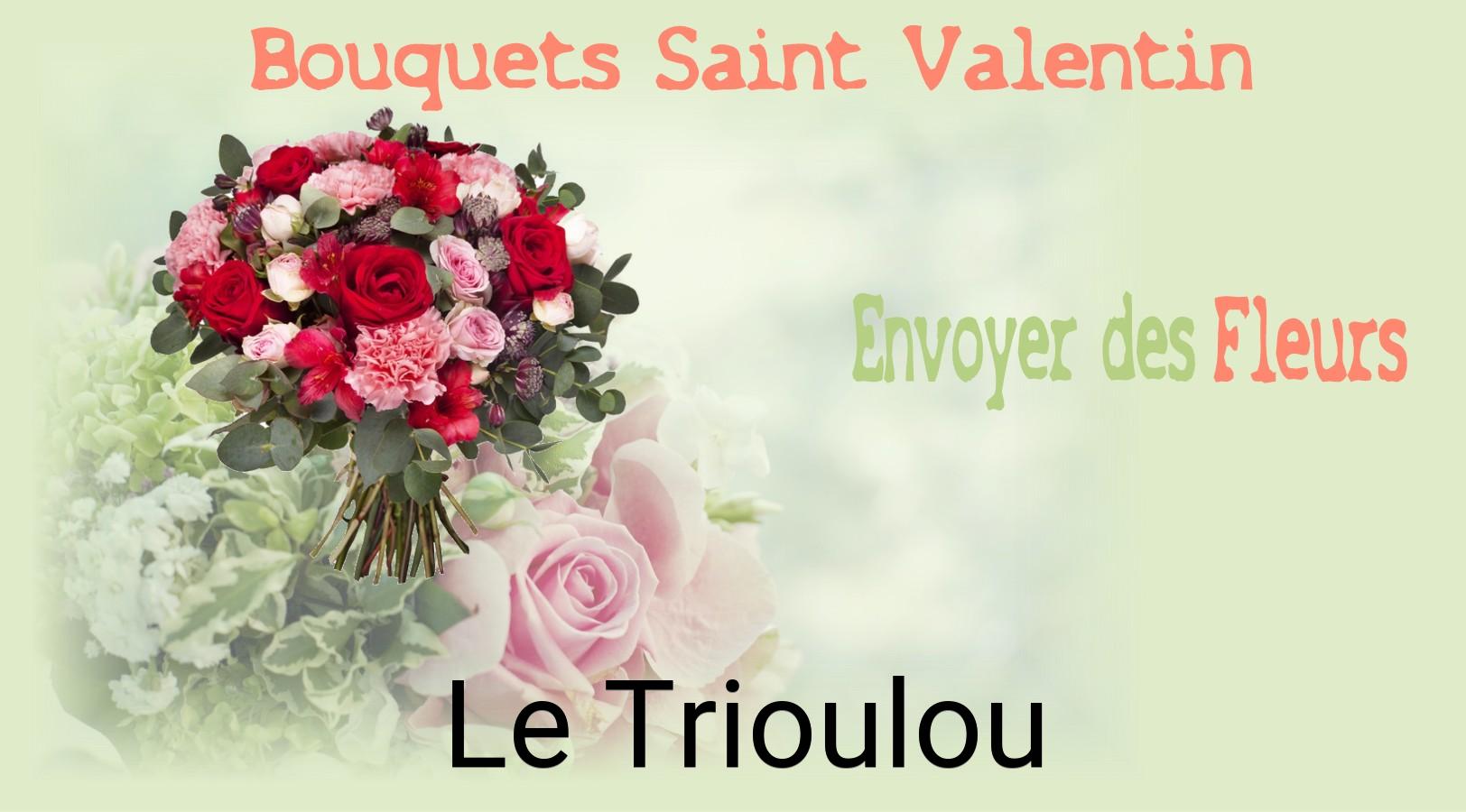 Roses de Saint-Valentin livrées à Le Trioulou