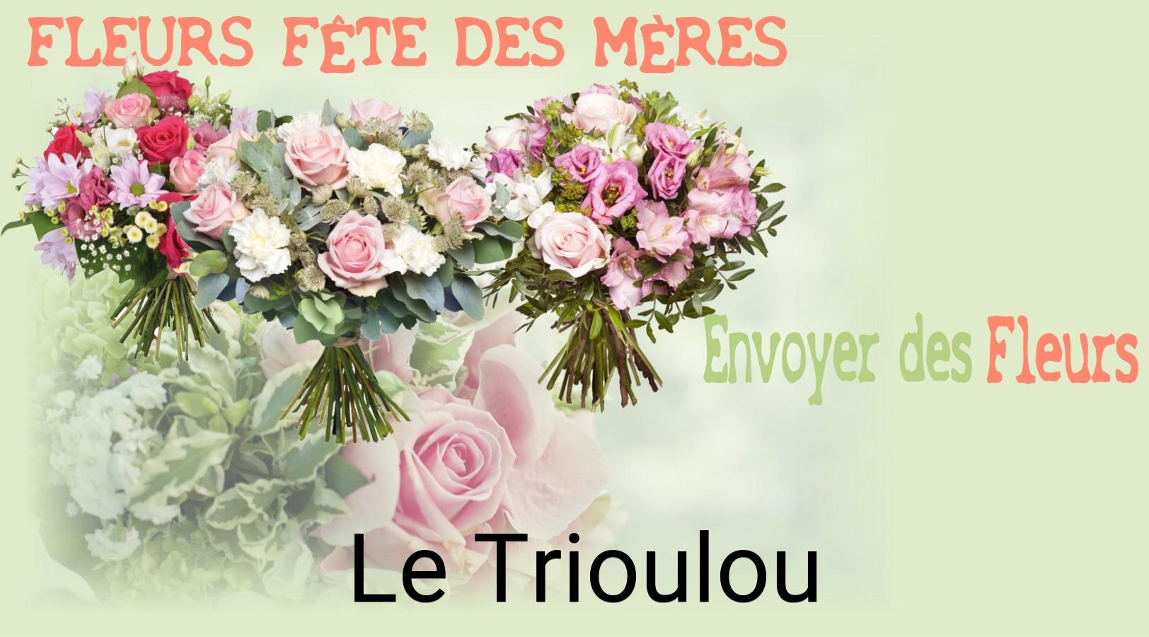 Bouquet de Fête des Mères livré à Le Trioulou